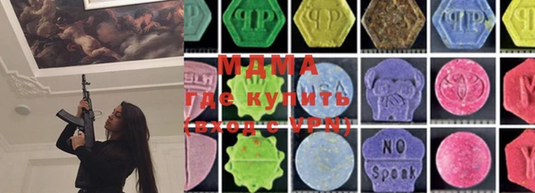 индика Новодвинск