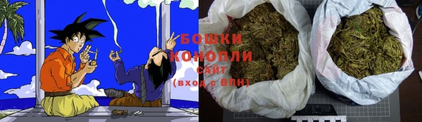 индика Новодвинск