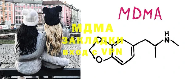 индика Новодвинск