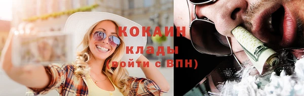 индика Новодвинск