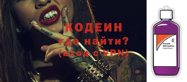 индика Новодвинск
