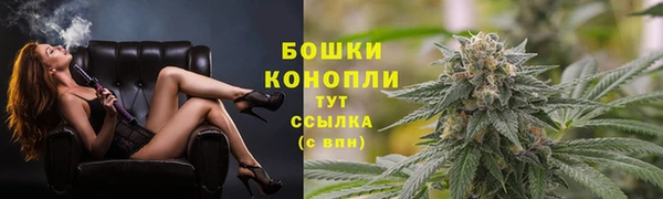 МДПВ Новозыбков