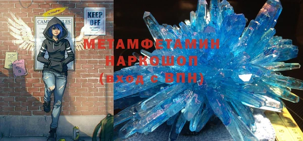 индика Новодвинск