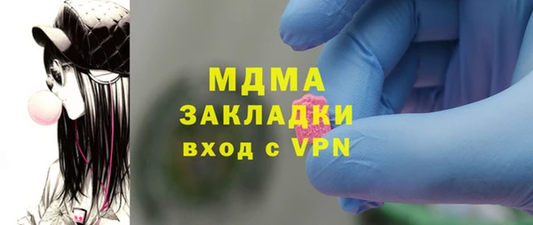 индика Новодвинск