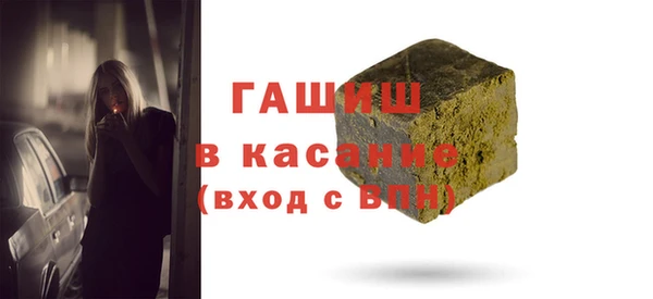 индика Новодвинск