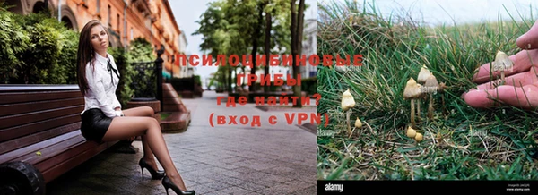 каннабис Новокубанск