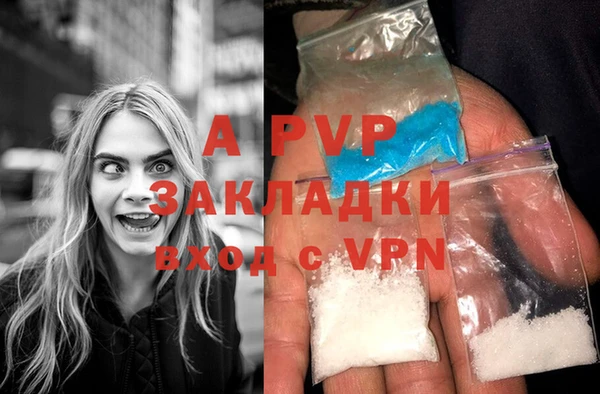 индика Новодвинск