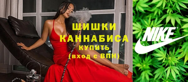 МДПВ Новозыбков