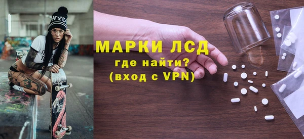 индика Новодвинск