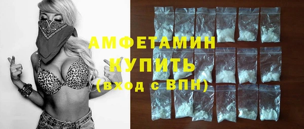 индика Новодвинск
