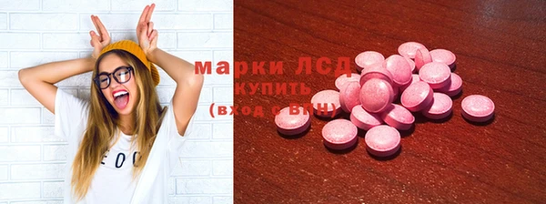 индика Новодвинск