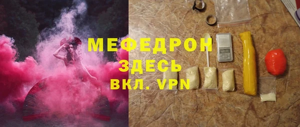 индика Новодвинск