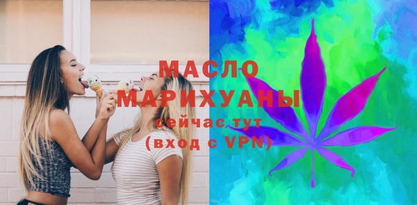 индика Новодвинск