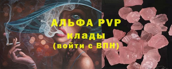 МДПВ Новозыбков