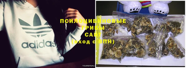 каннабис Новокубанск