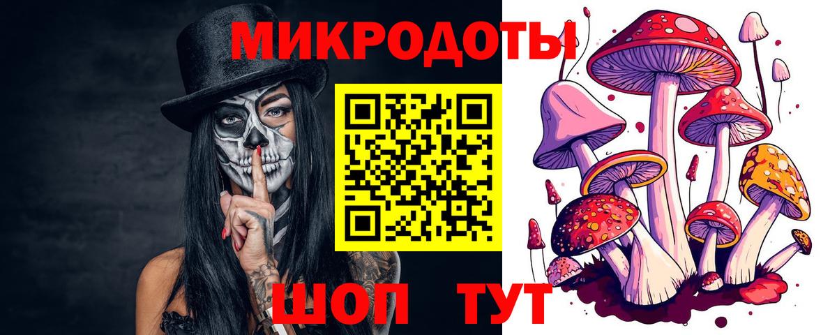 Псилоцибиновые грибы Cubensis  Вход с VPN  Ульяновск 